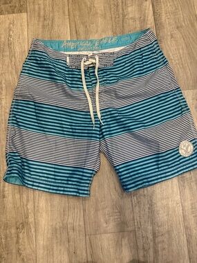 American Eagle Outfitters Teal and White Striped Swim Board Shorts